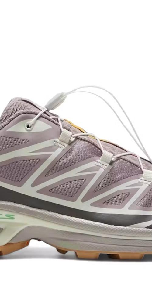 Salomon Salomon XT-6 "Lillac"